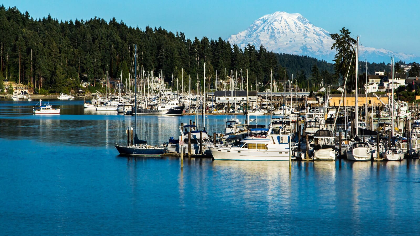 Gig Harbor — Mobile Notary vs. UPS Store vs. Bank — Which Is Right for You?